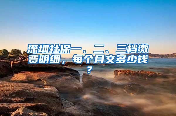 深圳社保一、二、三档缴费明细，每个月交多少钱？