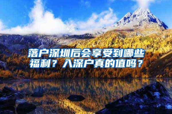 落户深圳后会享受到哪些福利？入深户真的值吗？