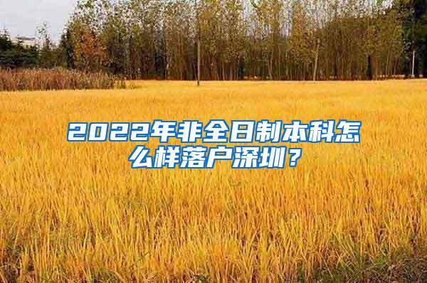 2022年非全日制本科怎么样落户深圳？