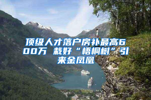 顶级人才落户房补最高600万 栽好“梧桐树”引来金凤凰