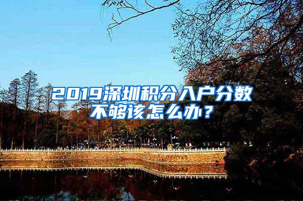 2019深圳积分入户分数不够该怎么办？