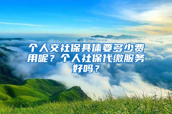 个人交社保具体要多少费用呢？个人社保代缴服务好吗？