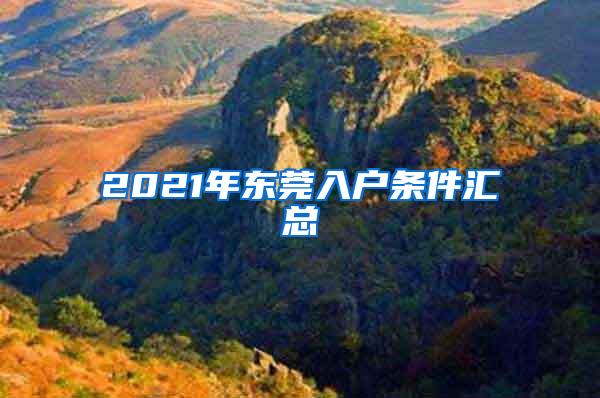 2021年东莞入户条件汇总