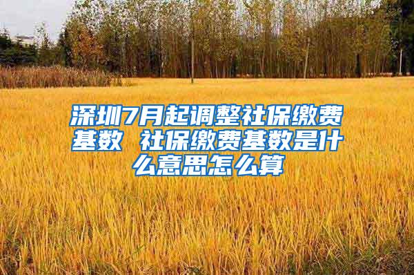 深圳7月起调整社保缴费基数 社保缴费基数是什么意思怎么算