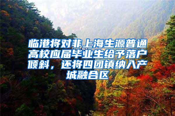 临港将对非上海生源普通高校应届毕业生给予落户倾斜，还将四团镇纳入产城融合区