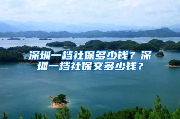 深圳一档社保多少钱？深圳一档社保交多少钱？