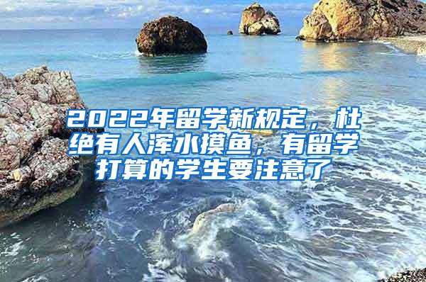 2022年留学新规定，杜绝有人浑水摸鱼，有留学打算的学生要注意了