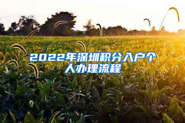 2022年深圳积分入户个人办理流程