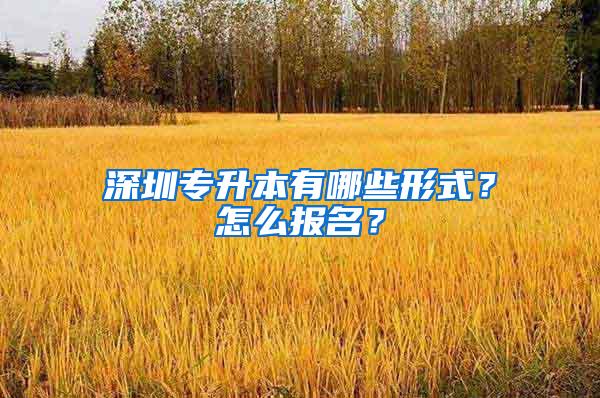 深圳专升本有哪些形式？怎么报名？