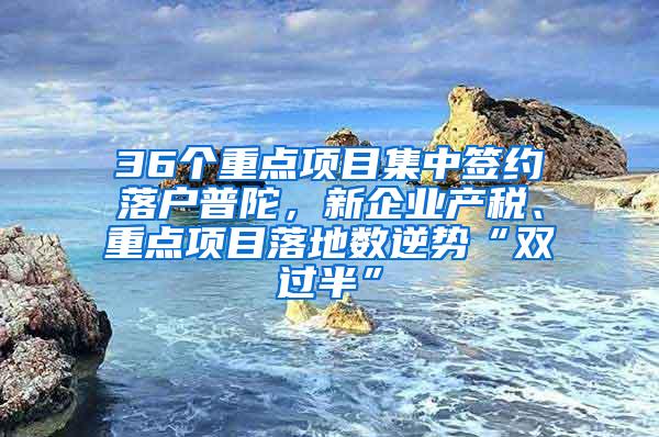 36个重点项目集中签约落户普陀，新企业产税、重点项目落地数逆势“双过半”