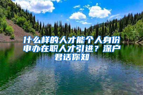 什么样的人才能个人身份申办在职人才引进？深户君话你知