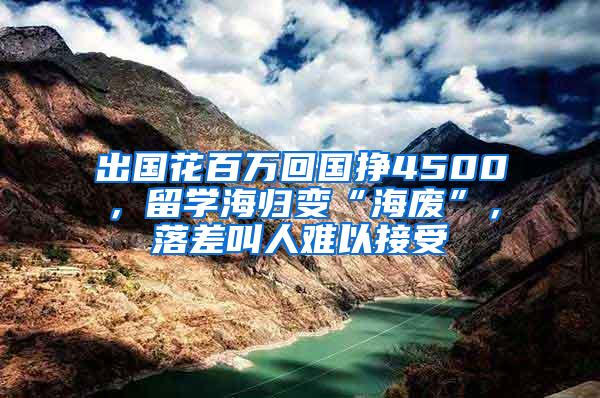 出国花百万回国挣4500，留学海归变“海废”，落差叫人难以接受