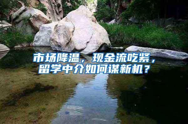 市场降温，现金流吃紧，留学中介如何谋新机？