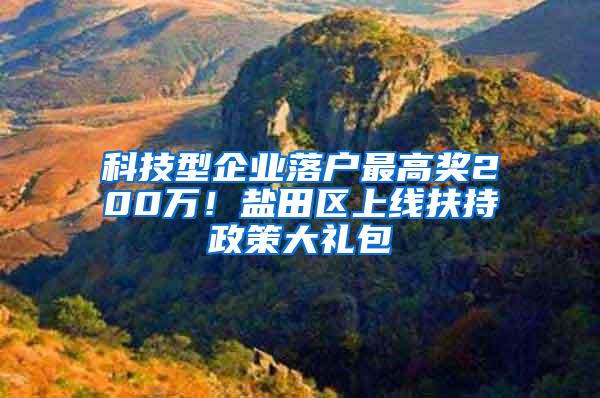 科技型企业落户最高奖200万！盐田区上线扶持政策大礼包