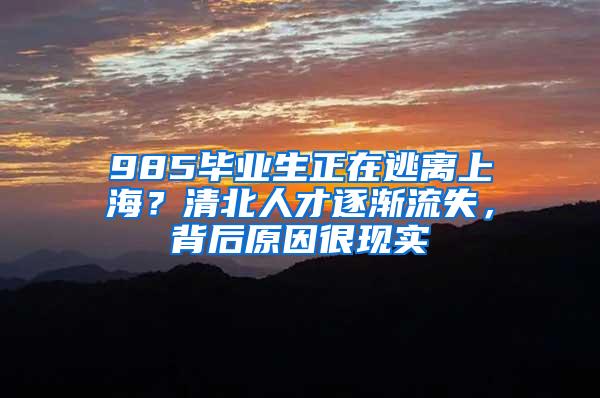 985毕业生正在逃离上海？清北人才逐渐流失，背后原因很现实