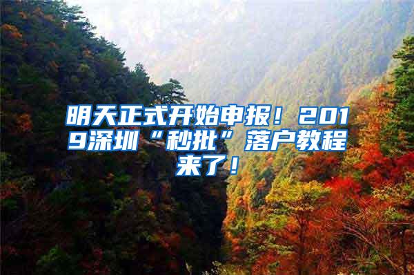 明天正式开始申报！2019深圳“秒批”落户教程来了！