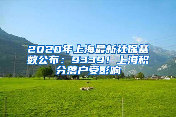 2020年上海最新社保基数公布：9339！上海积分落户受影响