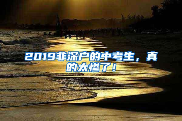 2019非深户的中考生，真的太惨了！