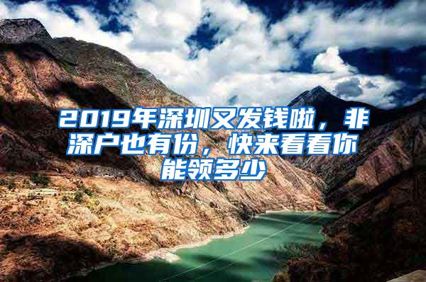 2019年深圳又发钱啦，非深户也有份，快来看看你能领多少