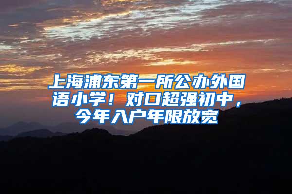 上海浦东第一所公办外国语小学！对口超强初中，今年入户年限放宽