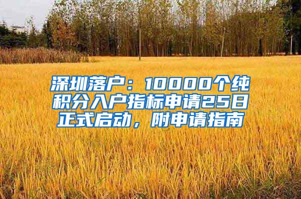 深圳落户：10000个纯积分入户指标申请25日正式启动，附申请指南