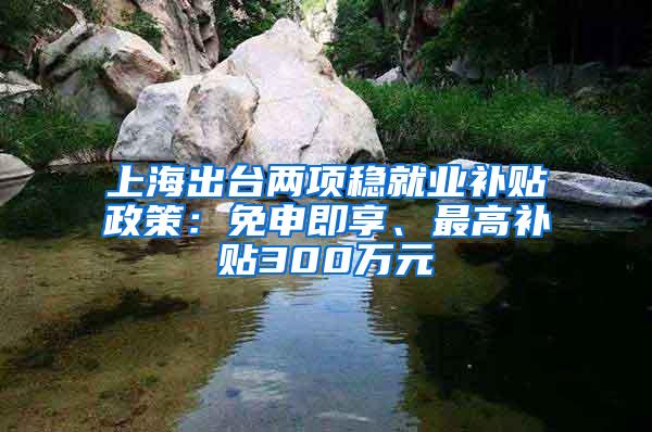 上海出台两项稳就业补贴政策：免申即享、最高补贴300万元