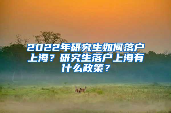 2022年研究生如何落户上海？研究生落户上海有什么政策？