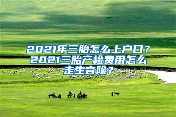 2021年三胎怎么上户口？2021三胎产检费用怎么走生育险？