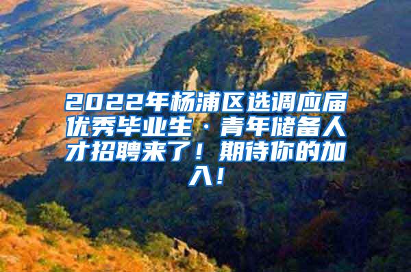 2022年杨浦区选调应届优秀毕业生·青年储备人才招聘来了！期待你的加入！