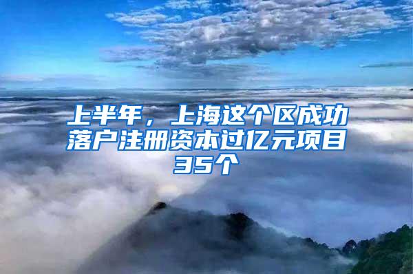 上半年，上海这个区成功落户注册资本过亿元项目35个