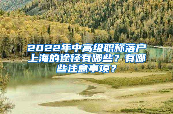 2022年中高级职称落户上海的途径有哪些？有哪些注意事项？