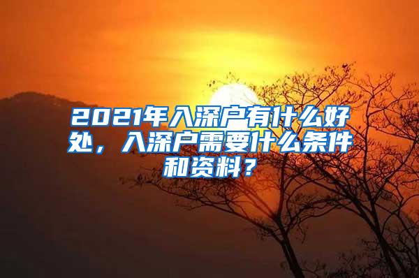 2021年入深户有什么好处，入深户需要什么条件和资料？