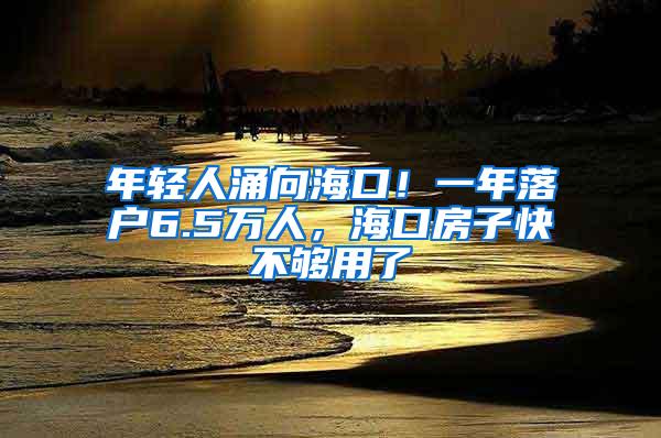 年轻人涌向海口！一年落户6.5万人，海口房子快不够用了