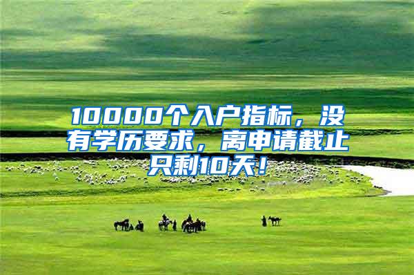 10000个入户指标，没有学历要求，离申请截止只剩10天！