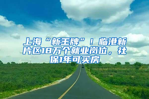 上海“新王牌”！临港新片区18万个就业岗位，社保1年可买房