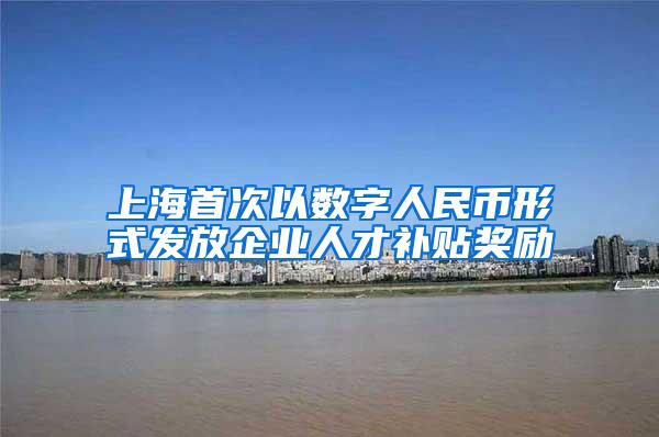 上海首次以数字人民币形式发放企业人才补贴奖励