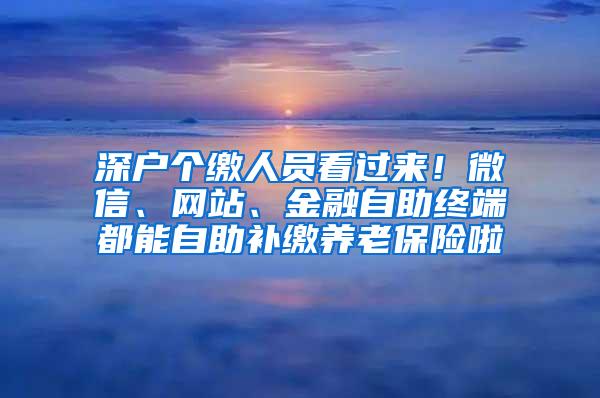 深户个缴人员看过来！微信、网站、金融自助终端都能自助补缴养老保险啦