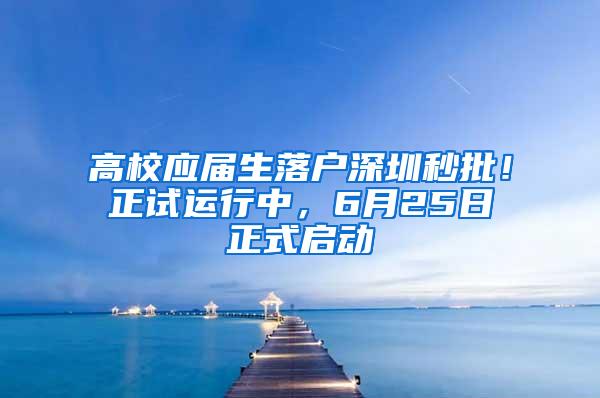 高校应届生落户深圳秒批！正试运行中，6月25日正式启动