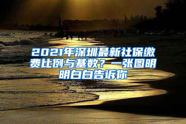 2021年深圳最新社保缴费比例与基数？一张图明明白白告诉你