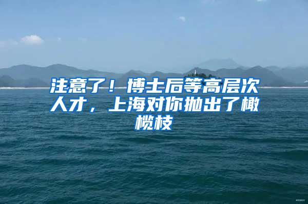 注意了！博士后等高层次人才，上海对你抛出了橄榄枝→