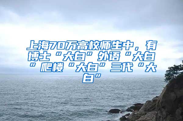 上海70万高校师生中，有博士“大白”外语“大白”爬楼“大白”三代“大白”