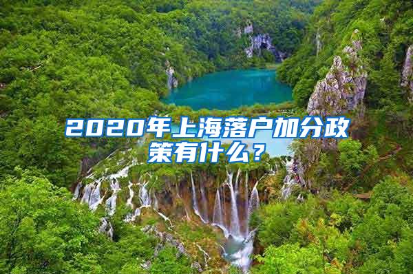 2020年上海落户加分政策有什么？