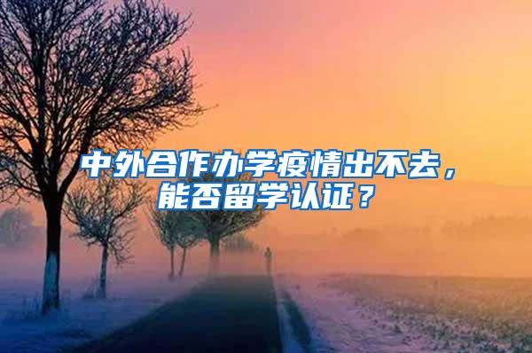 中外合作办学疫情出不去，能否留学认证？