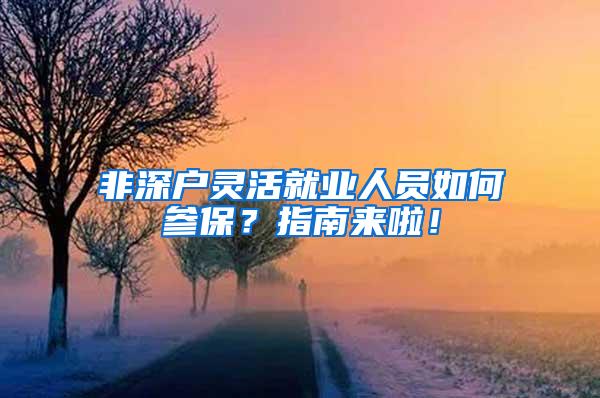 非深户灵活就业人员如何参保？指南来啦！