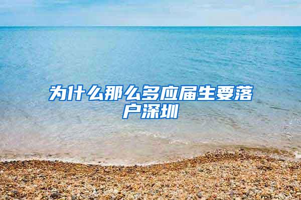 为什么那么多应届生要落户深圳