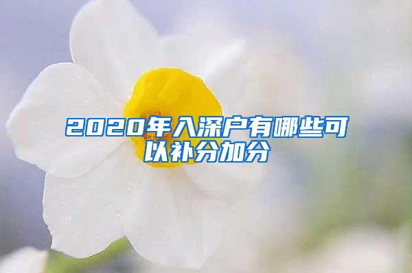 2020年入深户有哪些可以补分加分