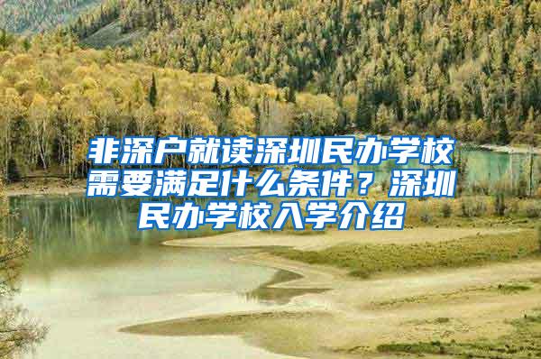 非深户就读深圳民办学校需要满足什么条件？深圳民办学校入学介绍