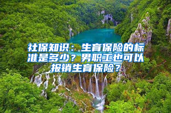 社保知识：生育保险的标准是多少？男职工也可以报销生育保险？