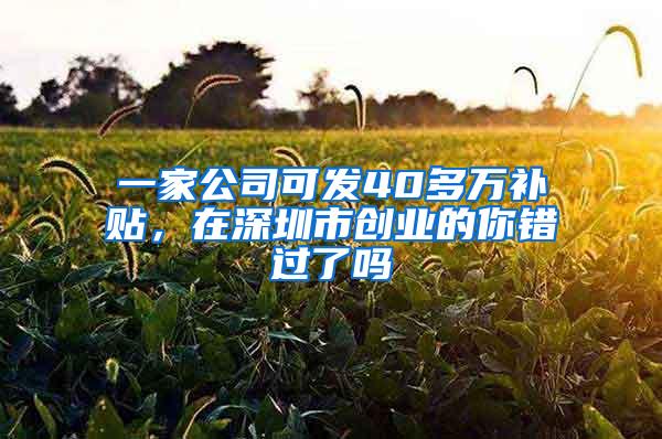 一家公司可发40多万补贴，在深圳市创业的你错过了吗