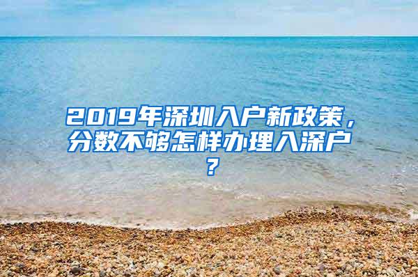 2019年深圳入户新政策，分数不够怎样办理入深户？